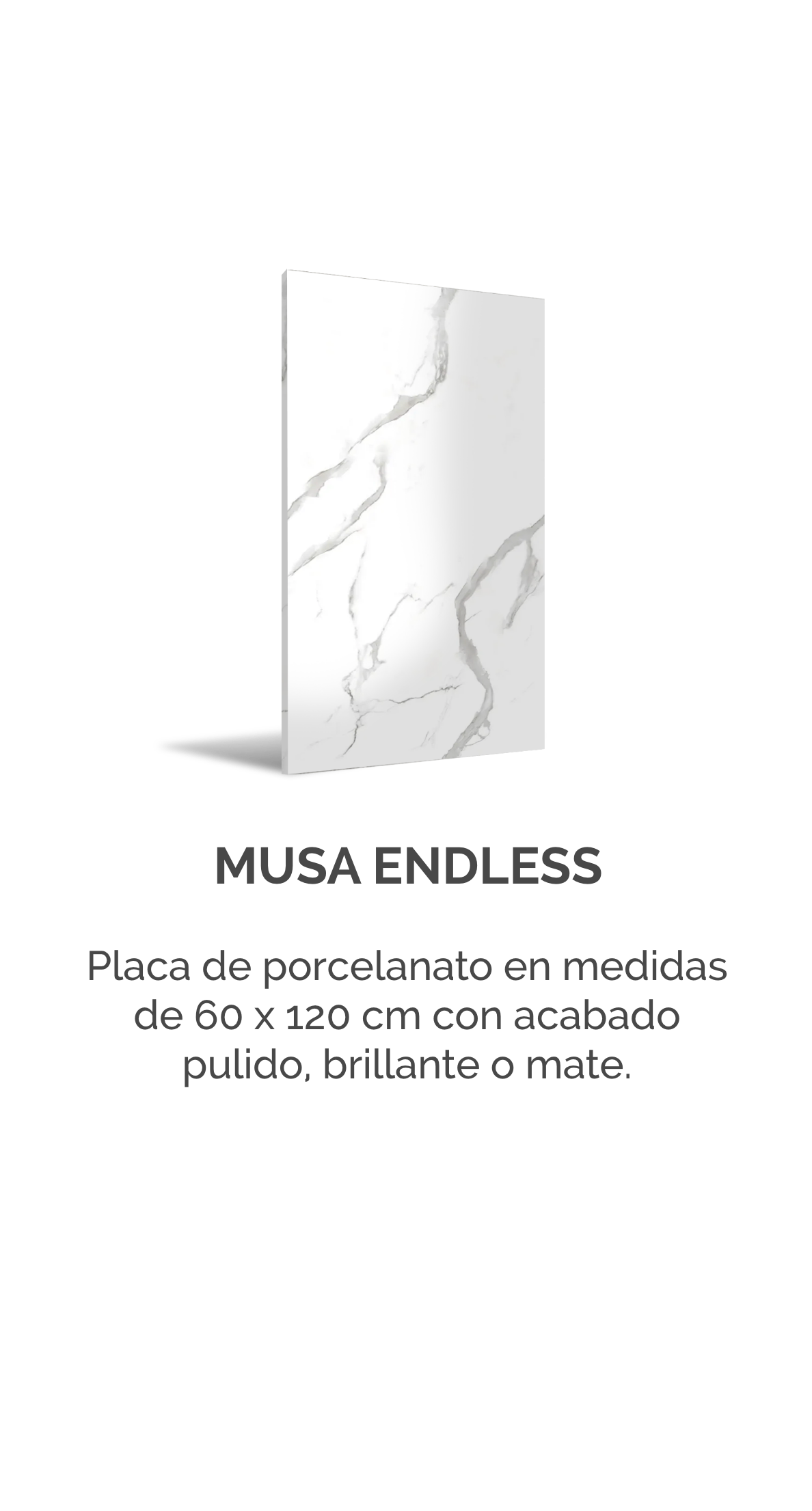 MUSA ENDLESS